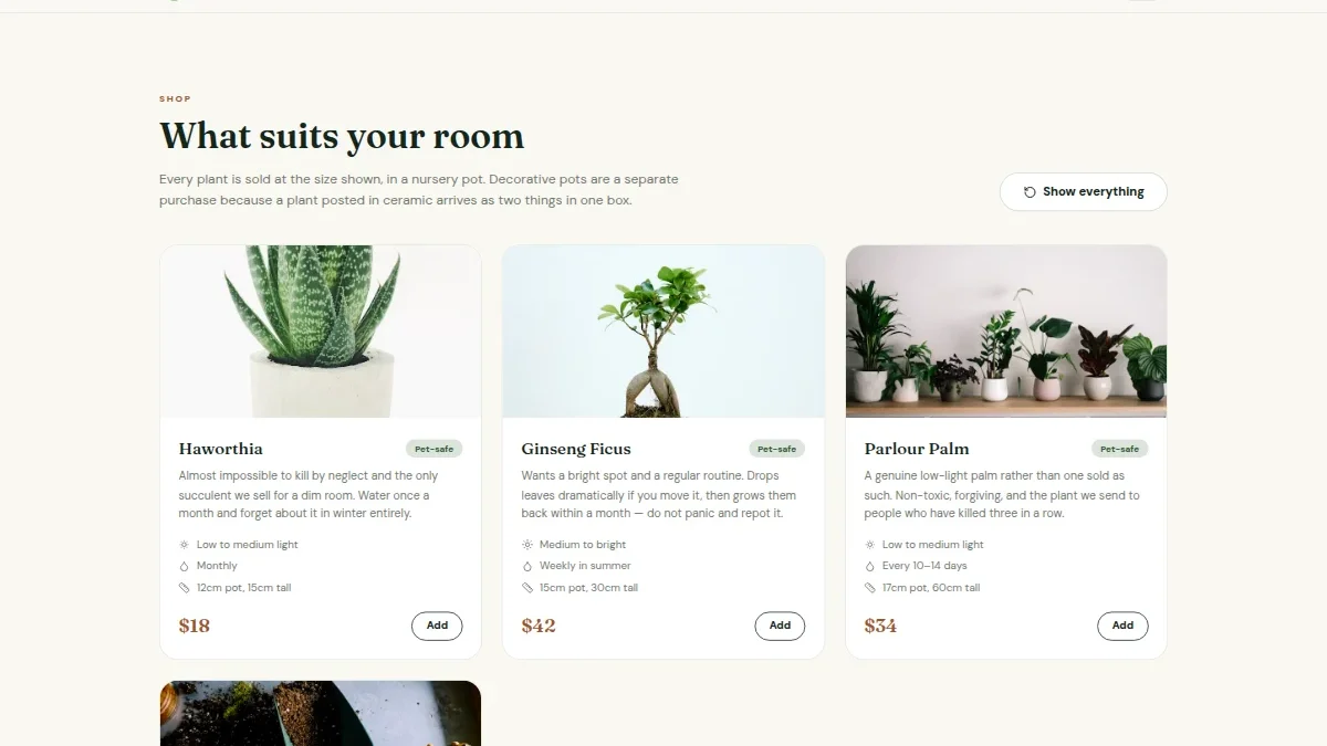 Houseplant Delivery Shop — Thumbnail 3