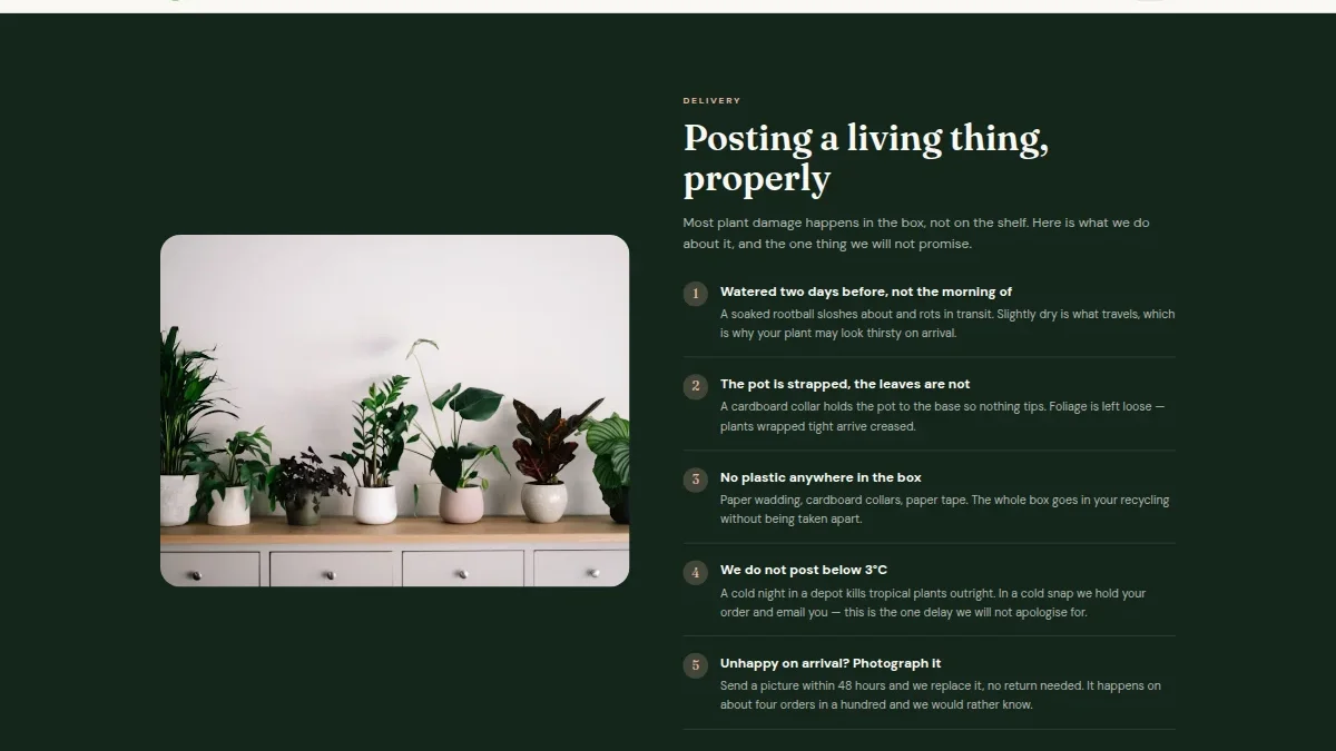 Houseplant Delivery Shop — Thumbnail 4