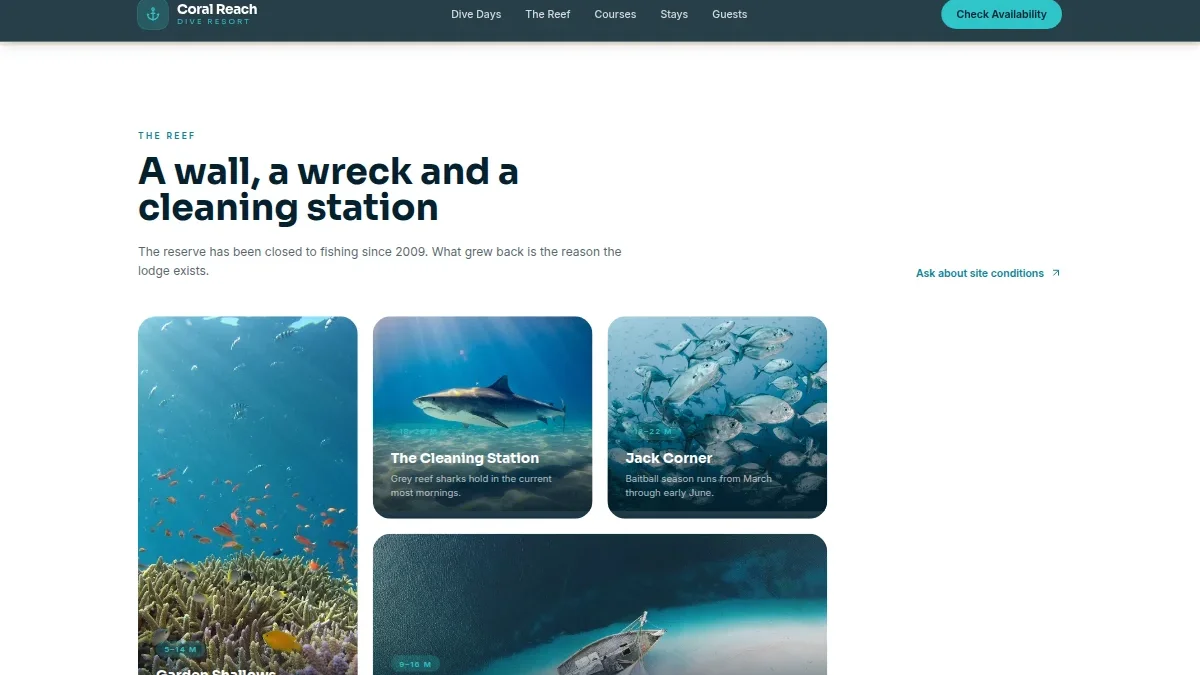 Island Dive Resort — Thumbnail 3
