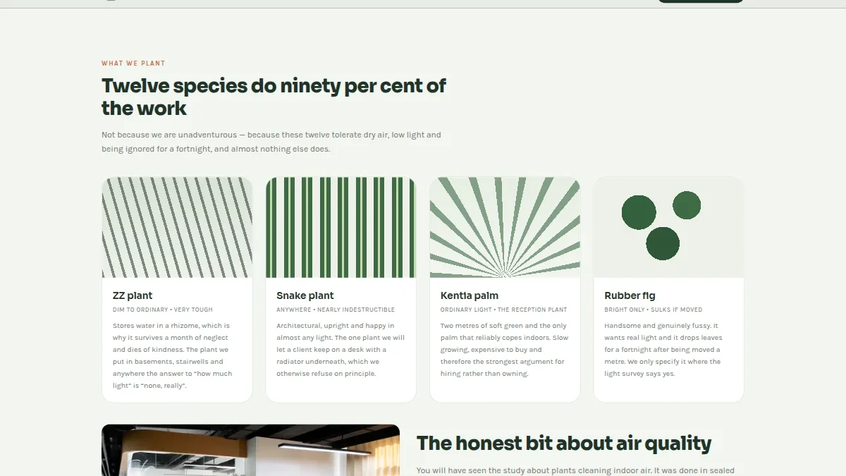 Verdant Works — аренда растений для офиса — Миниатюра 3