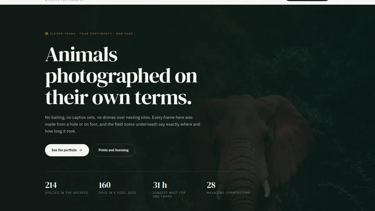 Wildlife Nature Photography