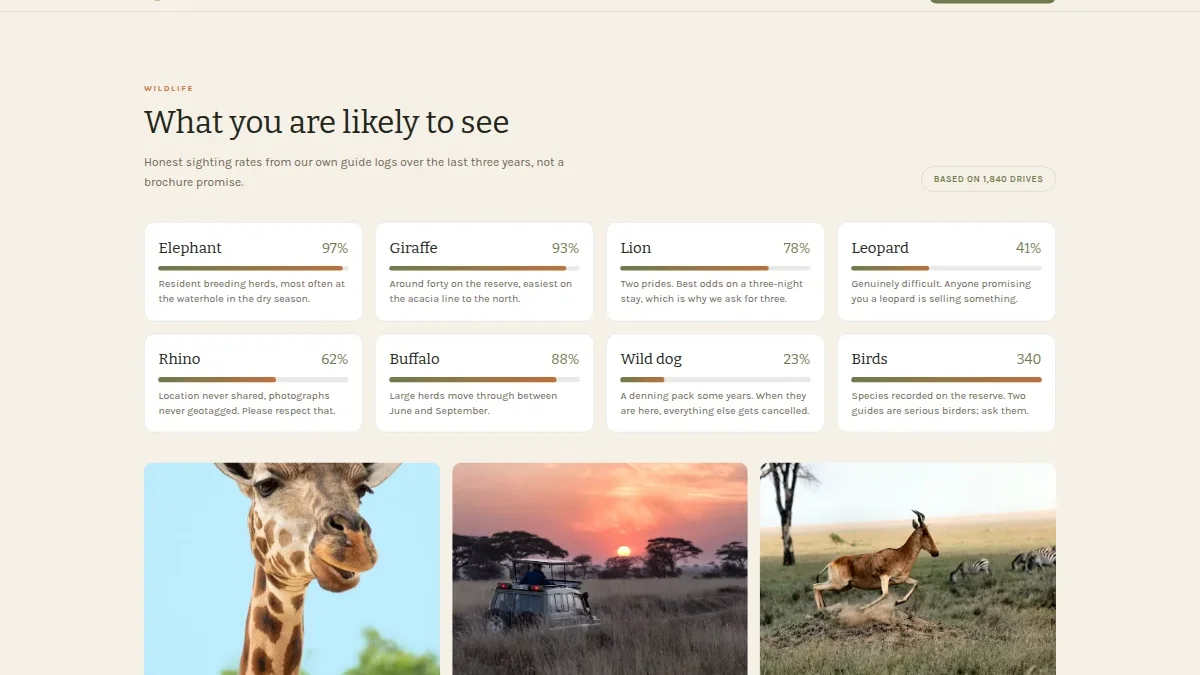 Wildlife Safari Lodge — Thumbnail 3